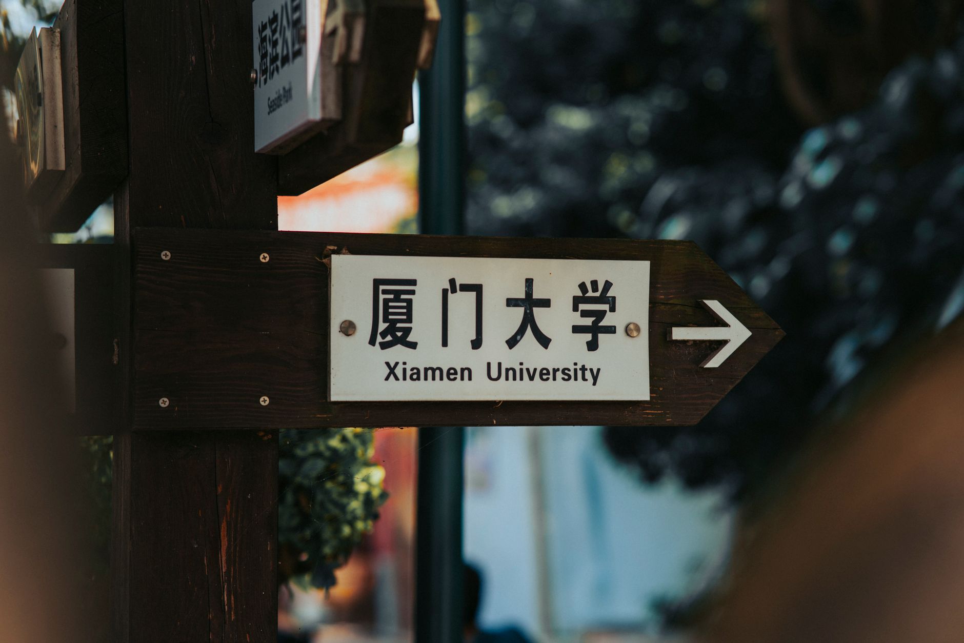 改签费与退票规则的经济学逻辑：为什么越便宜的票越没有弹性